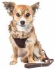 Pet Life Luxe 'Furracious' 2-In-1 Mesh Reversed Adjustable Dog Harness-Leash W/ Removable Fur Collar