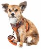 Pet Life Luxe 'Pawsh' 2-In-1 Mesh Reversed Adjustable Dog Harness-Leash W/ Fashion Bowtie