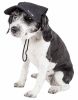 Pet Life 'Cap-Tivating' Uv Protectant Adjustable Fashion Dog Hat Cap